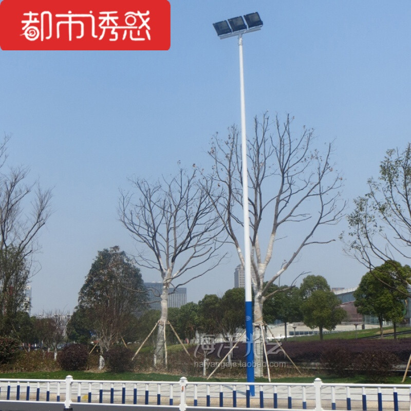 篮球场灯户外防水路灯广场灯路灯杆子6米7米8米高杆灯道路照明灯 8米T字杆400W双上海亚明