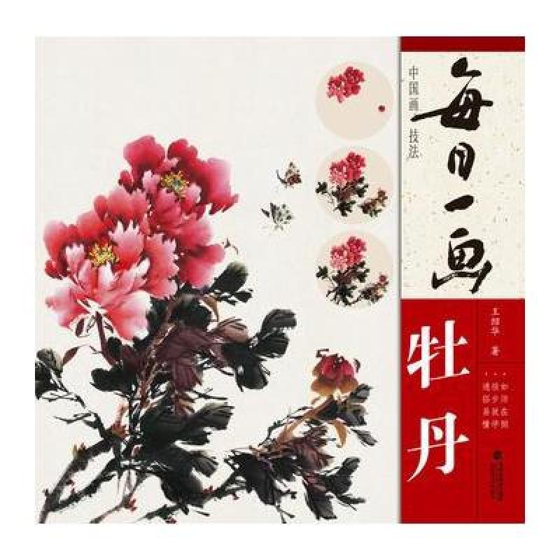 每日一画