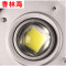 洋子（YangZi）LED工矿灯室内篮球场羽毛球馆乒乓球照明灯游泳馆体育馆专用吊灯_1 100W暖光(进口LED芯片)
