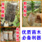 洋子（YangZi）无纺布花盆加厚育苗袋营养袋营养杯育苗杯营养钵植树袋定制_3 10x12(直径5.7x高9)五百个