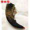 洋子（YangZi）天然手工制大号吹号表演道具装饰法器_1 彩线长柄牛角款