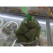 洋子（YangZi）抗低温超市专用装粽子塑料网兜网眼袋加厚绿色35厘米 100个加厚红色35厘米网+扣