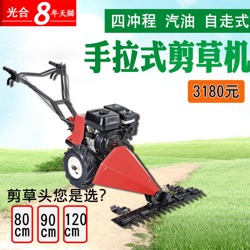 洋子（YangZi）割草机园林草坪剪草机四冲程汽油剪草机修剪机小型打草割草机 默认颜色