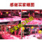 洋子（YangZi）led猪肉灯生鲜灯卖肉灯30w超市灯鲜肉照肉灯熟食灯蔬菜水果灯超亮 熟食灯【插件灯珠】【鲜暖】