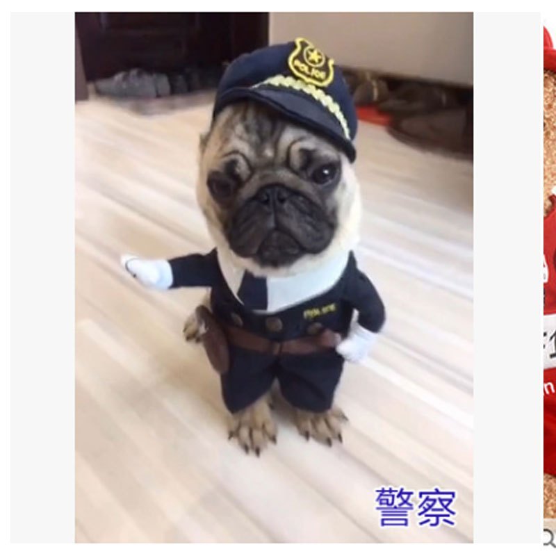 搞笑狗衣服狗狗宠物衣服立体搞笑搞怪衣服猫咪狗狗变身装泰迪个性多色多款多功能宠物用品宠物服饰_1 警察