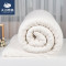 天山雪域 被子纯棉新疆棉花被3斤全尺寸同价 1.8*2.2m标准双人 有网3斤