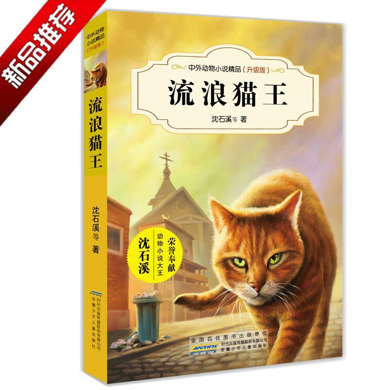流浪猫王/沈石溪中外动物小说精品升级版 9-12岁儿童文学励志动物成长故事 三四五六年级中小学生课外阅读书籍 沈石溪的书