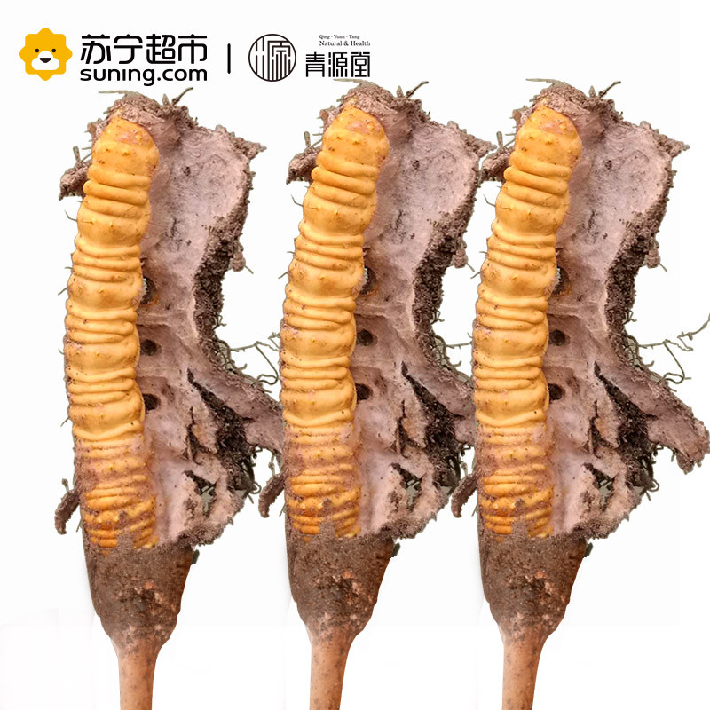 青源堂 冬虫夏草 0.5克/条 10条装 5克 新鲜冬虫夏草正品 可泡酒