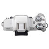 佳能(Canon) EOS M50 白色单机身不含镜头 数码微单相机 约2410万像素