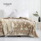 ladysoft家居 加厚拉舍尔毯毛毯 一等品 150*200cm 150*200cm【一等品】【约5斤】 粉妮小兔