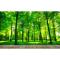 大型3D立体绿色树林电视背景墙纸客厅沙背景墙壁纸卧室风景_5 进口环保无纺布（拼接）