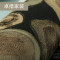 复古个性年轮墙纸仿木纹木头木板树皮工业风壁纸酒吧饭店背景热卖_1 SAE1950