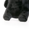 熊本熊 酷MA萌 毛绒玩偶挂件 挂件13/玩偶18cm A挂件