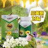 金奥力 蜂胶胶囊 100粒