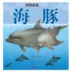 动物家庭：海豚
