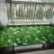 3d绿草家用卧室全屋地毯满铺客厅厅防滑底地垫长方绒面吸水机洗 140cm&times;200cm 绿色