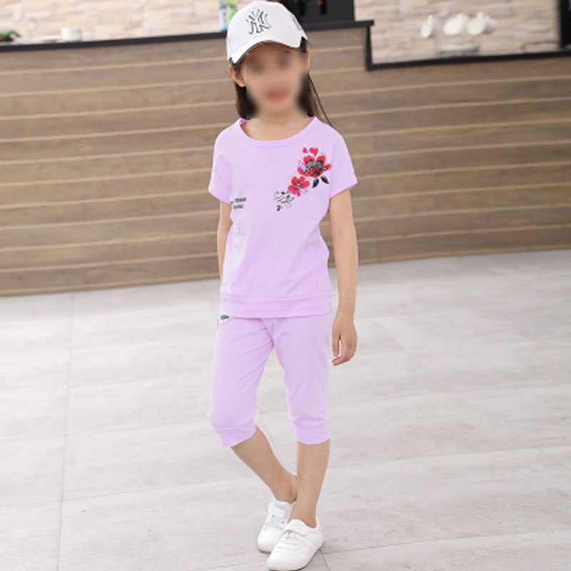 女童夏装两件套中大童小女孩衣服休闲运动套装儿童短袖童装夏简约小清新婴童短袖上衣和裤子套装 140号适合130-140 浅紫色