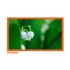 经科JK画框投影幕布小边框H3-AT/W2编织透声白幕119寸2.35:1