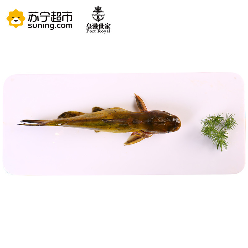 【活杀】皇港世家 活鲜水产 黄颡鱼 （昂刺鱼 黄腊丁）1000g