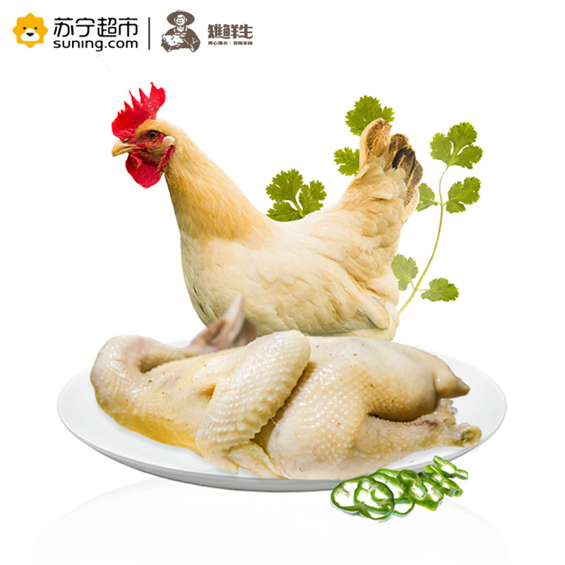 雉鲜生(Free Range Chicken) 农家散养土鸡走地鸡 800g/只桂皇鸡 2只装