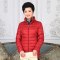 千仞岗2018春季中老年妈妈装轻薄羽绒服女短款立领显瘦大码20068 180/2XL 深红色137