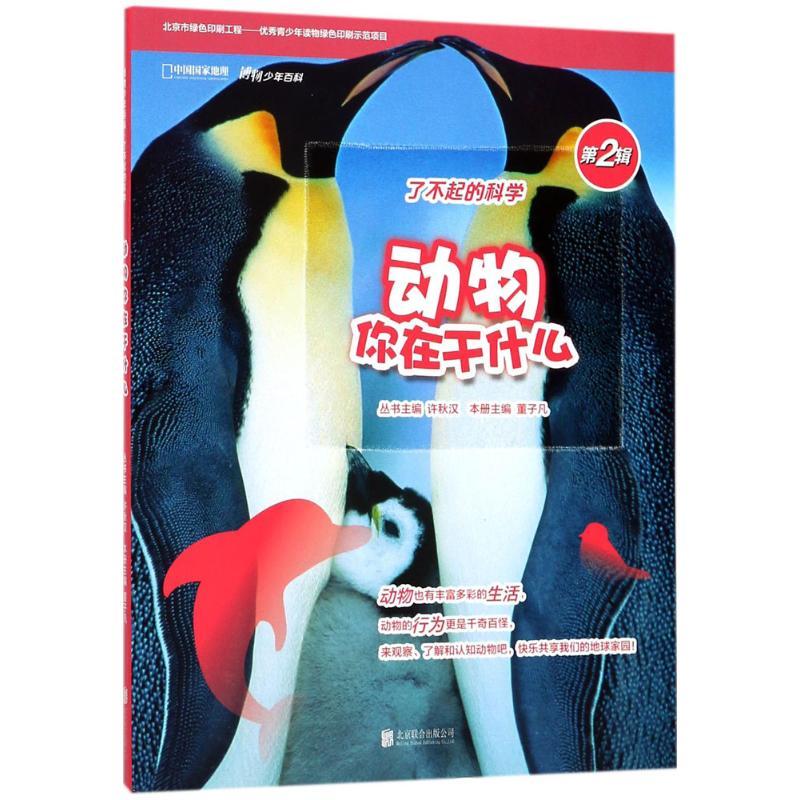 动物你在干什么