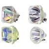 成越奥图码Metal Halide 250W EP550M投影机灯泡SP.80507.001_SwX44