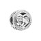 PANDORA潘多拉 爱的羁绊 925银串饰-792146CZ 银色