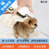 麦比佳 纯种哈多利系球体博美活体宠物 茶杯博美犬 日系俊杰双血统长不大的茶杯狗白色博美犬 赛级博美犬活体狗狗纯种博美犬