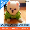 麦比佳 纯种哈多利系球体博美犬幼犬俊介 茶杯博美犬 日系俊杰双血统长不大的茶杯狗白色博美犬 小体博美俊介犬宠物狗狗活体