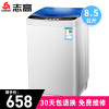 志高(CHIGO) XQB85-3801 透明灰-蓝光
