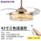 冠雅FS5030 金色