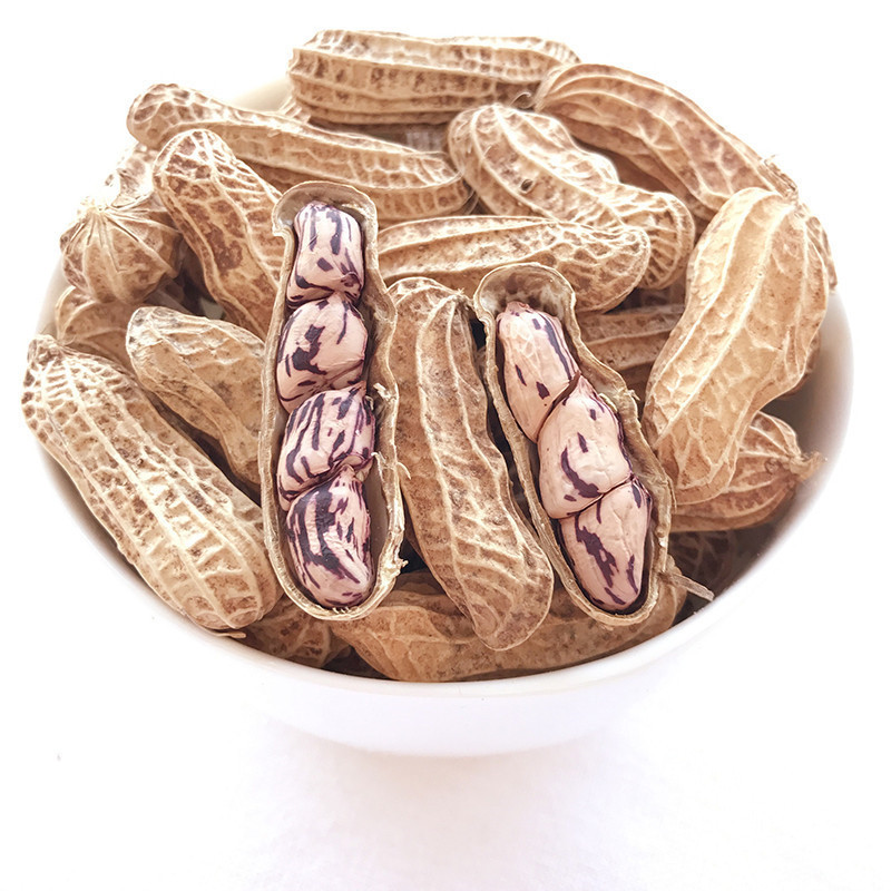 七彩花生 农家七彩花生 原味去壳生花生 500g 花皮花生红皮花生