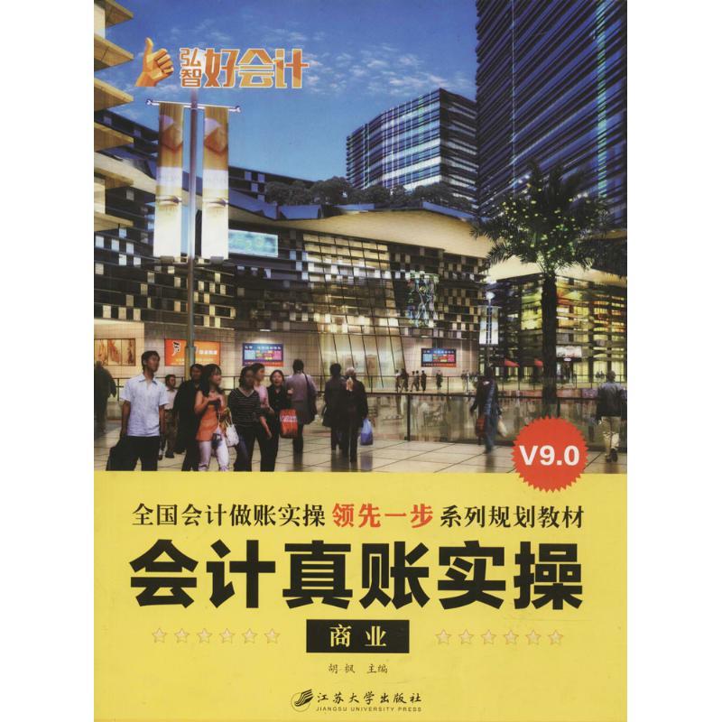 会计真账实操