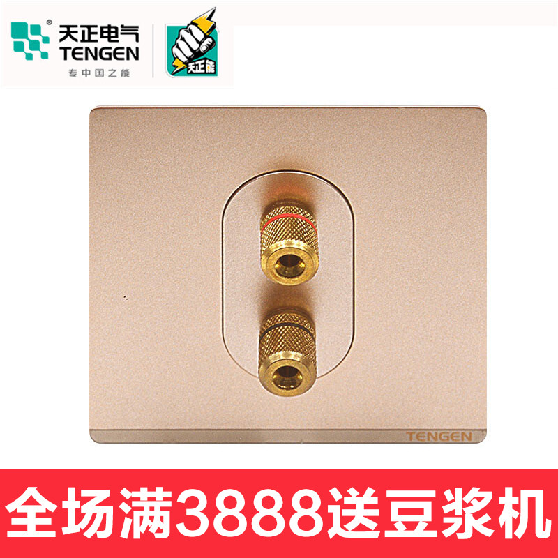 天正电气（TENGEN）开关插座86型面板TS系列金色家用大面板五孔无边框二三极墙壁电源插座套餐合集 金色 一位音响插座
