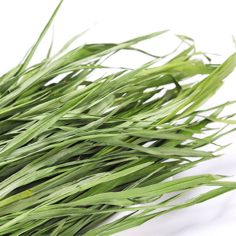 jessie洁西小麦草兔子烘干草兔兔牧草荷兰猪豚鼠龙猫干牧草食用草