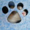 猫窝狗窝宠物窝夏天四春夏季猫咪窝毛毡窝可拆洗半封闭式猫床用品_1
