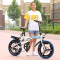 折叠自行车16寸20寸变速碟刹减震学生男女式便携超轻可成人用单车 16变速减震金色加礼品