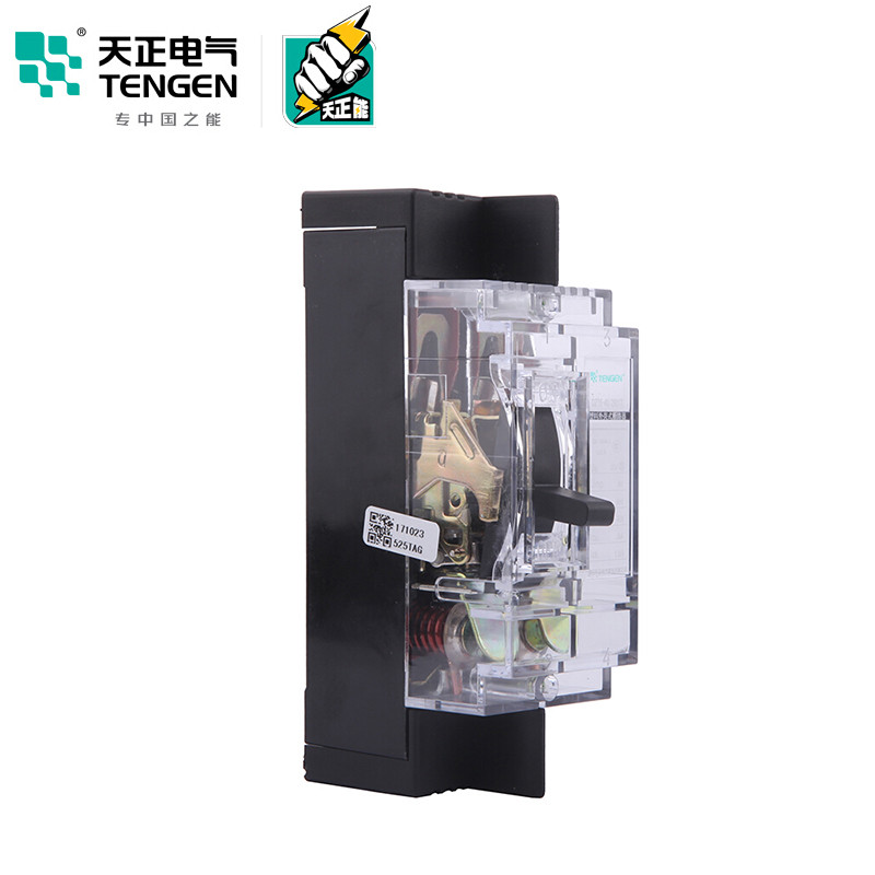 天正电气 DZ15-40 3KA 热磁式 16A 2P 手动 固定式 220V 01040030081 塑壳断路器