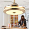 吊扇灯餐厅客厅 隐形风扇灯卧室现代简约家用带LED的伸缩风扇吊灯智能三色变光 双层铝42寸变光变频+遥控