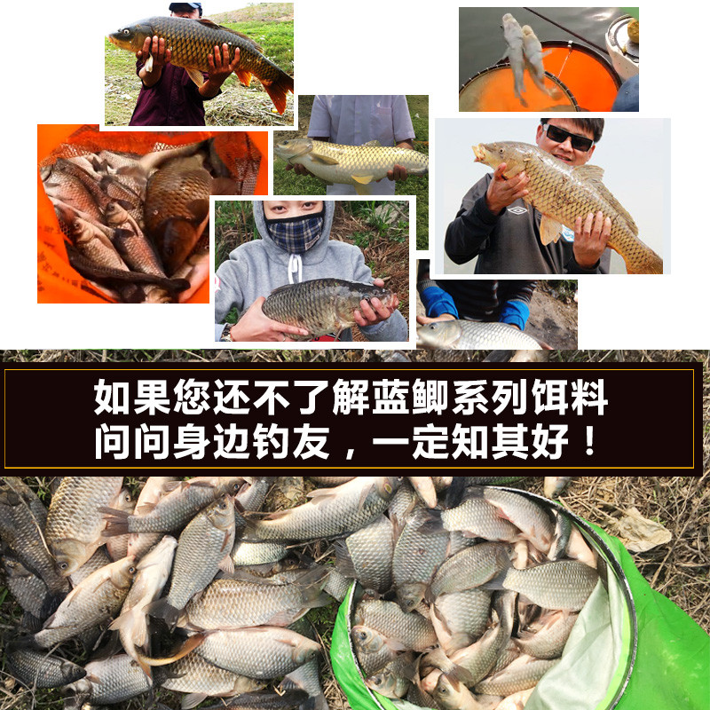 龙王恨蓝鲫夏秋季鲫鱼鲤鱼钓鱼饵料拉丝粉小药大蓝鲫野钓配方 5包装蓝鲫X5（送同款一包）