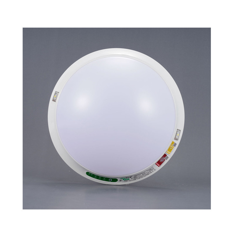 AED 应急吸顶灯 LED12W 680J3 (单位：个)