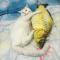 猫玩具猫薄荷鱼抱枕宠物玩具逗猫玩具猫咪用品（送猫薄荷球）_1_0 黄鱼小号20CM