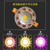 射灯LED天花灯嵌入式孔灯客厅筒灯彩色水晶3w过道牛眼灯顶洞灯满五送一富贵树暖色 满五送一水晶玫瑰3瓦变光白加彩