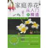家庭养花从入门到精通