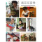 ?超大号仿真软胶恐龙玩具霸王龙模型套装儿童动物3-6岁男孩玩具_1 超大号【A三角龙】带叫声