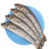 禧美海产 北海道野生深海黄鱼400g