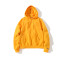 champion 冠军经典18 秋冬加厚连帽套头卫衣刺绣男女情侣款 S700 XL 黄色