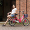 松吉（SONGI） 48V安妮二代电动自行车 隐藏式锂电池锂电车 成熟代步亲子助力电动车 安妮二代紫色48V8A