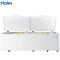 海尔（Haier） BC/BD-1028T 1028升 卧式冷柜 冰柜 顶开门 大容量 商用冰柜